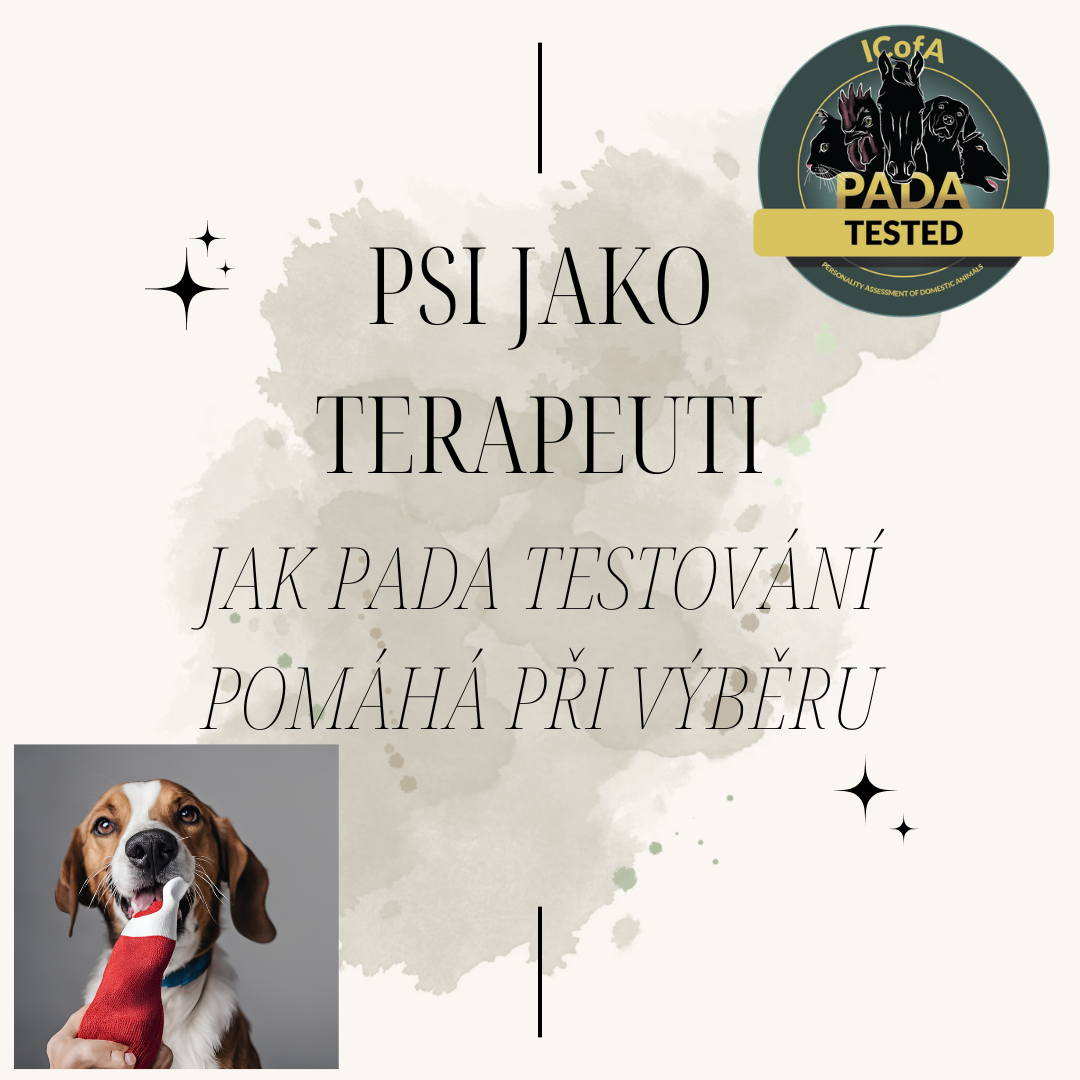 Psi jako Terapeuti: Jak PADA Testování Pomáhá Při Výběru